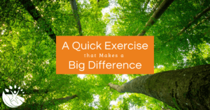 A Quick Exercise that Makes a Big Difference by Wilma Shaw, NTP, of Embrace Nutrition