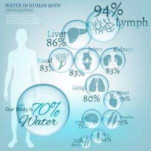 Water in the human body